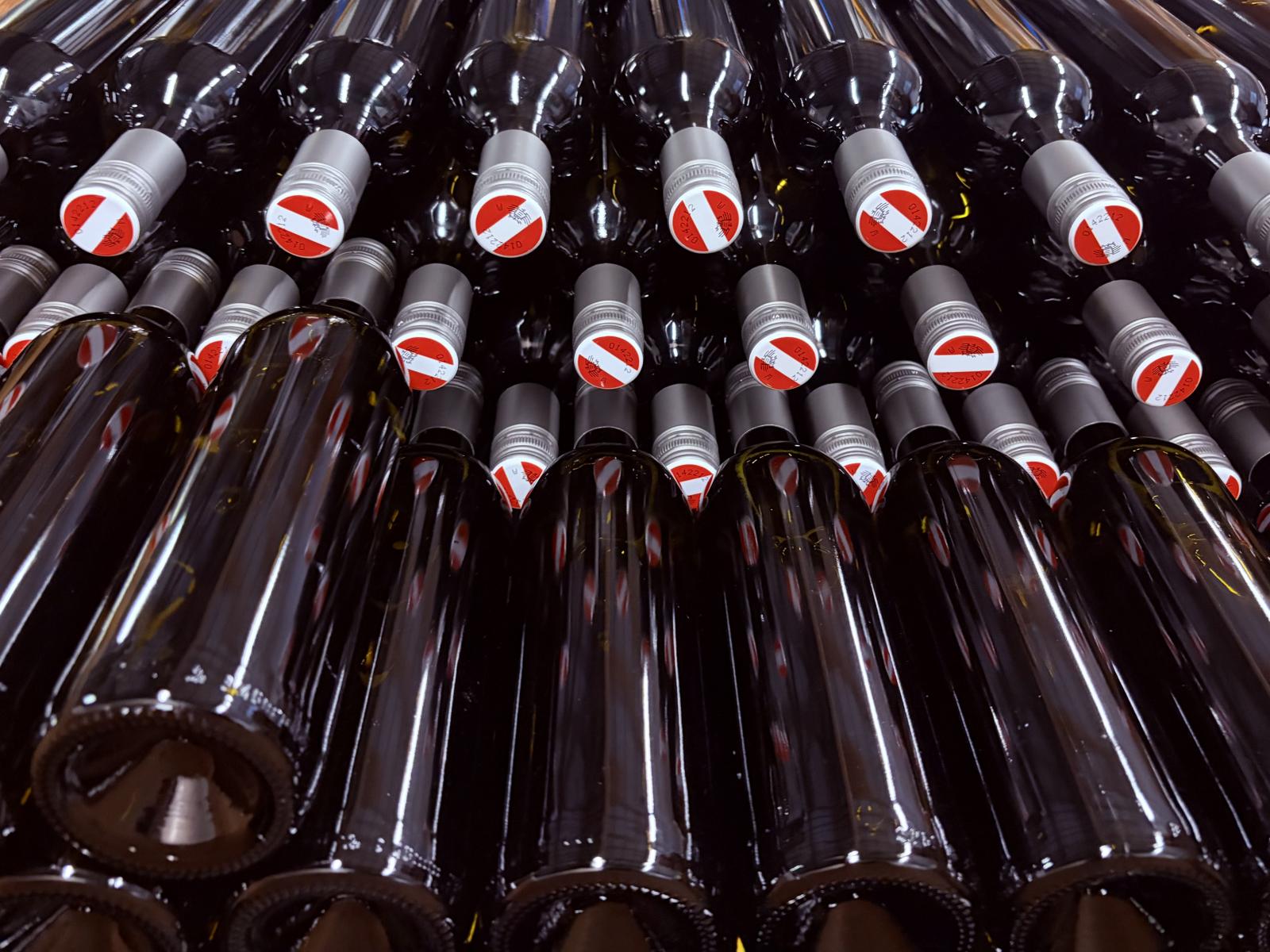 Flasche für Flasche: Unsere Weine erzählen vom pannonischen Boden.