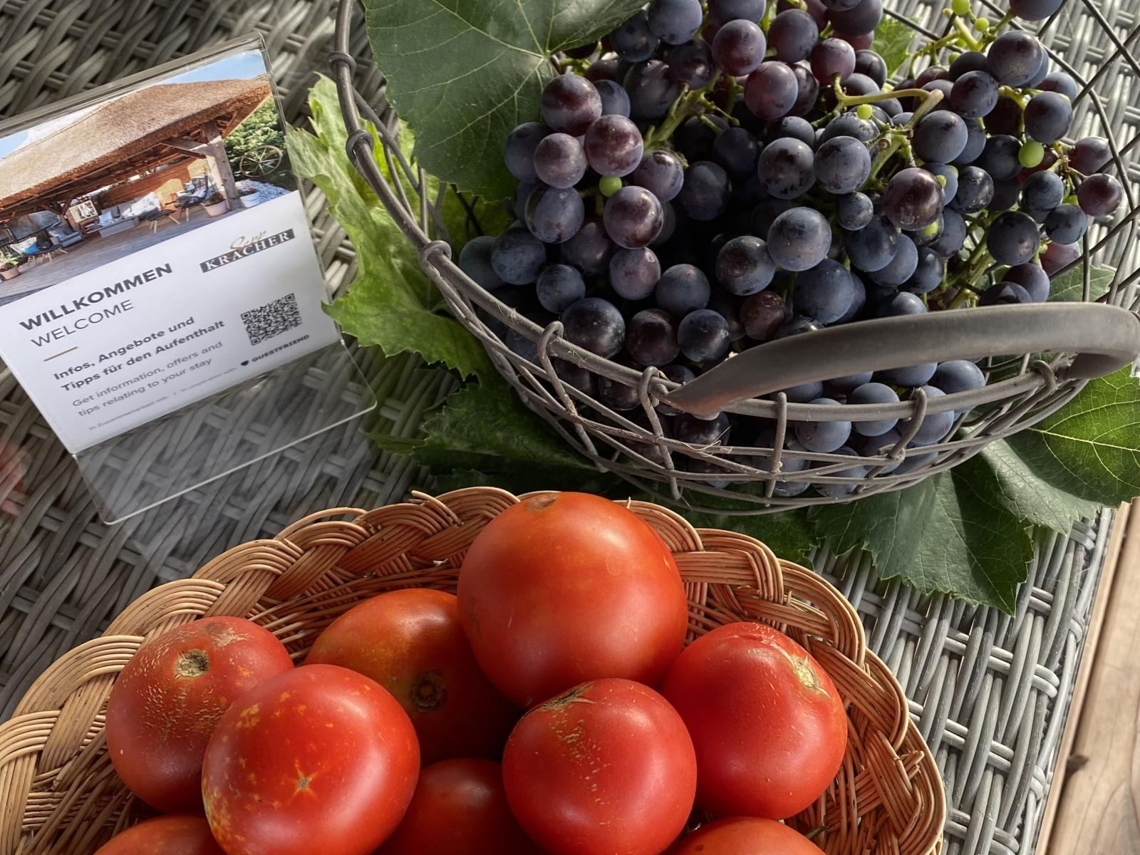 Aus Garten und Weingarten frisch auf den Tisch – ehrliche Schätze der Region.