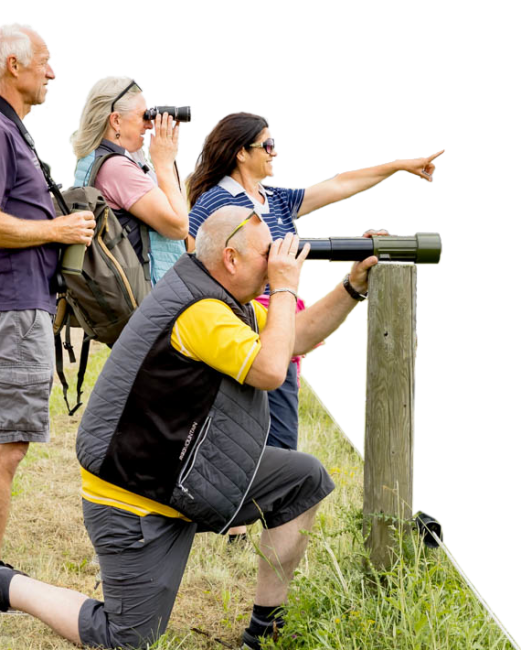 die Region entdecken